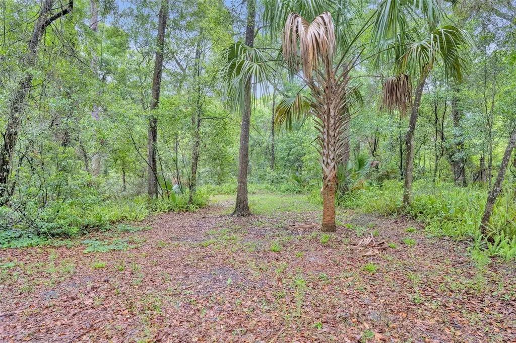 1640 Strathcona Avenue Deland FL 32720