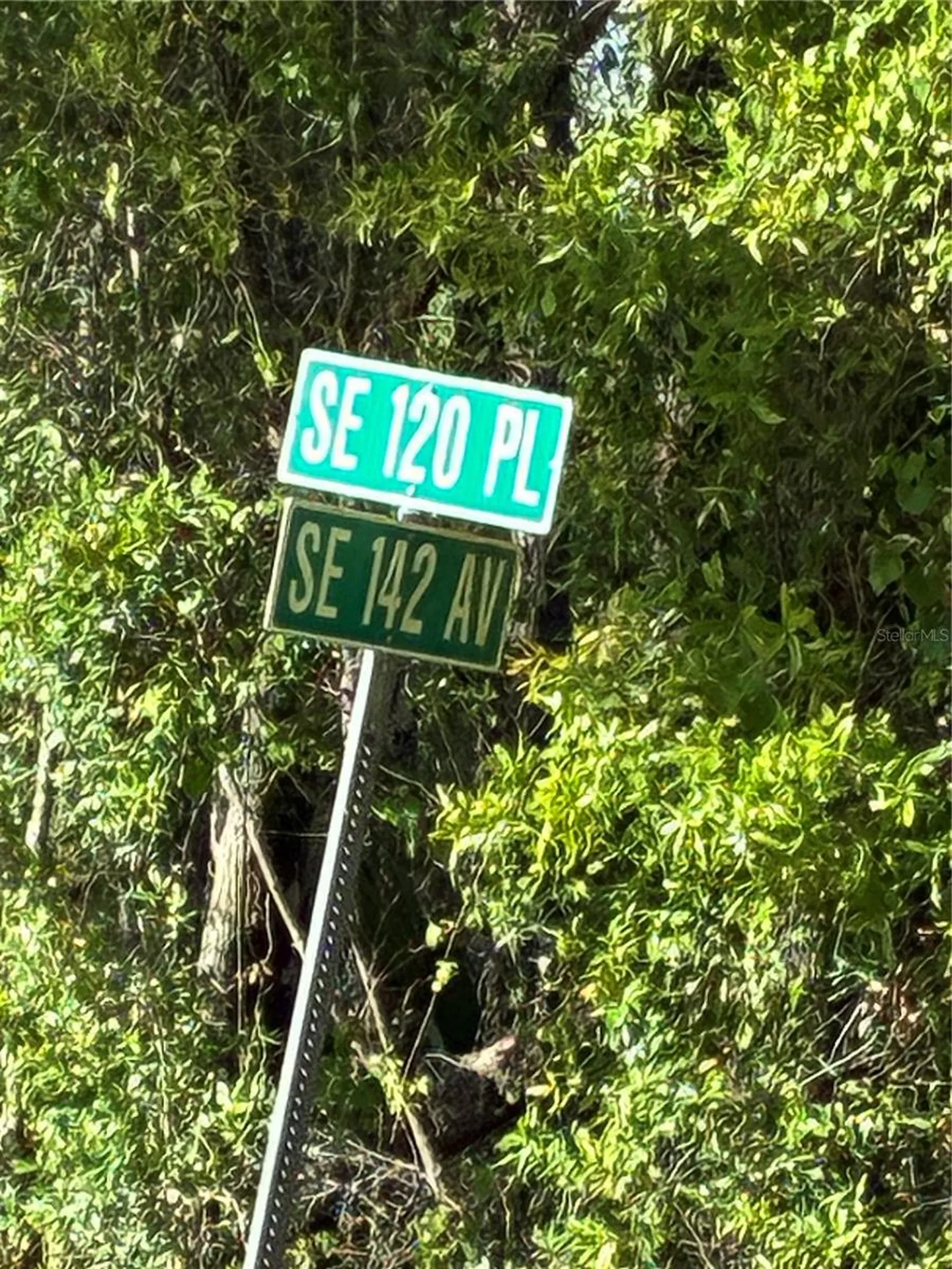 SE 142nd Avenue And SE 120th Place Ocklawaha FL 32179