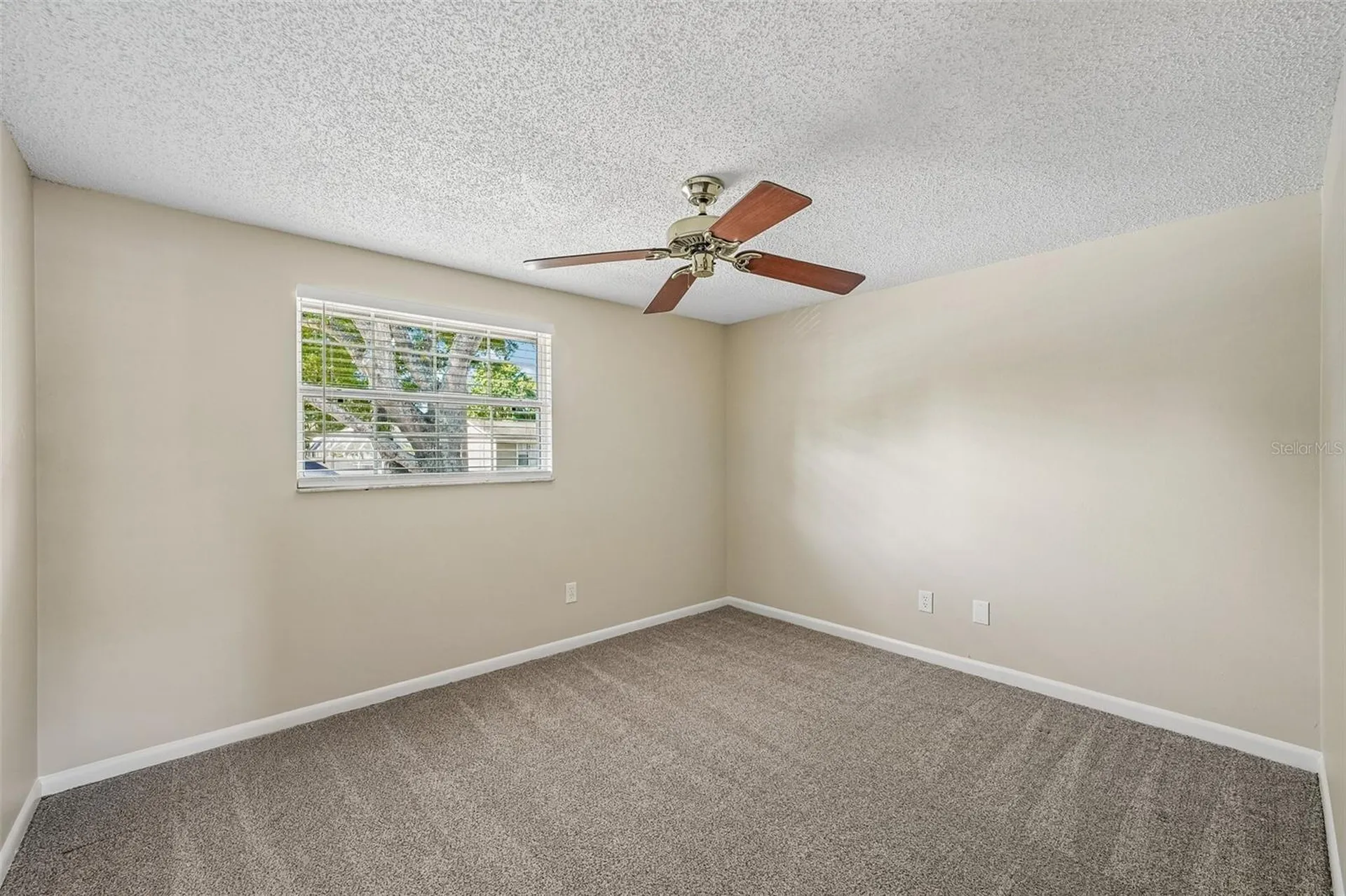 7001 Summerbridge Drive Tampa FL 33634