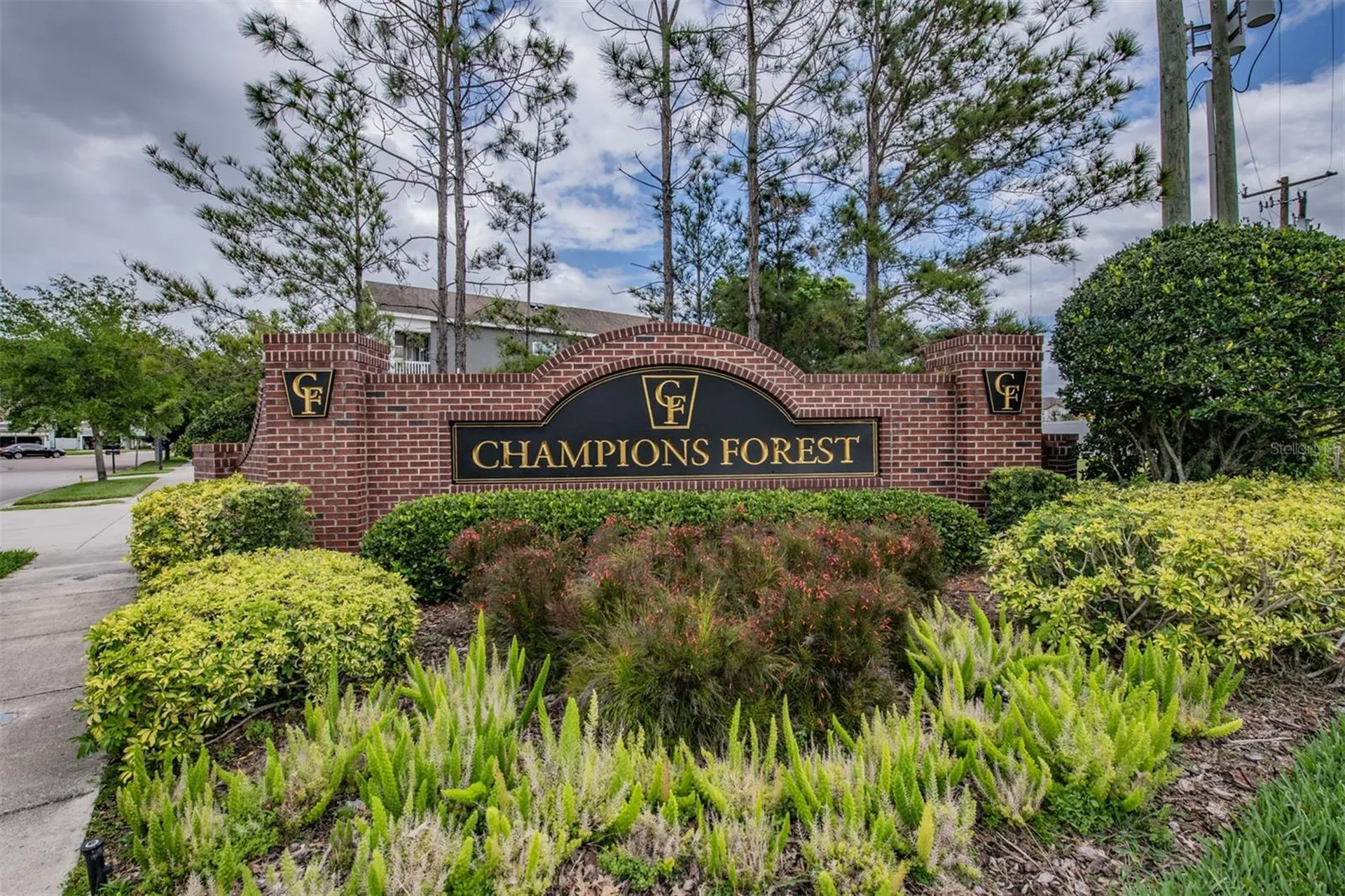 8115 Champions Forest Way Tampa FL 33635