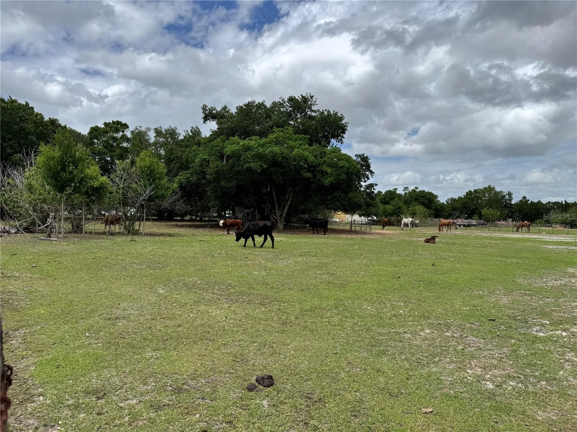 1804 Zipperer Road Bradenton FL 34212
