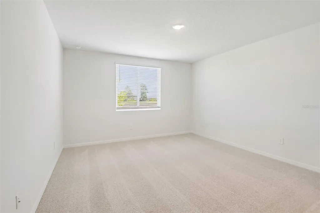 1631 Coolridge Place Zephyrhills FL 33541