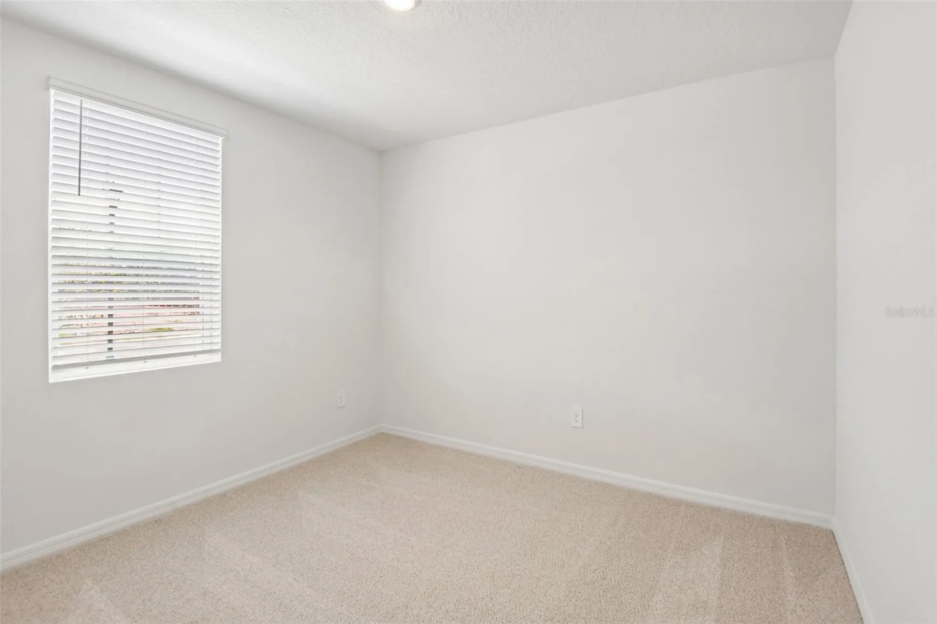 1631 Coolridge Place Zephyrhills FL 33541