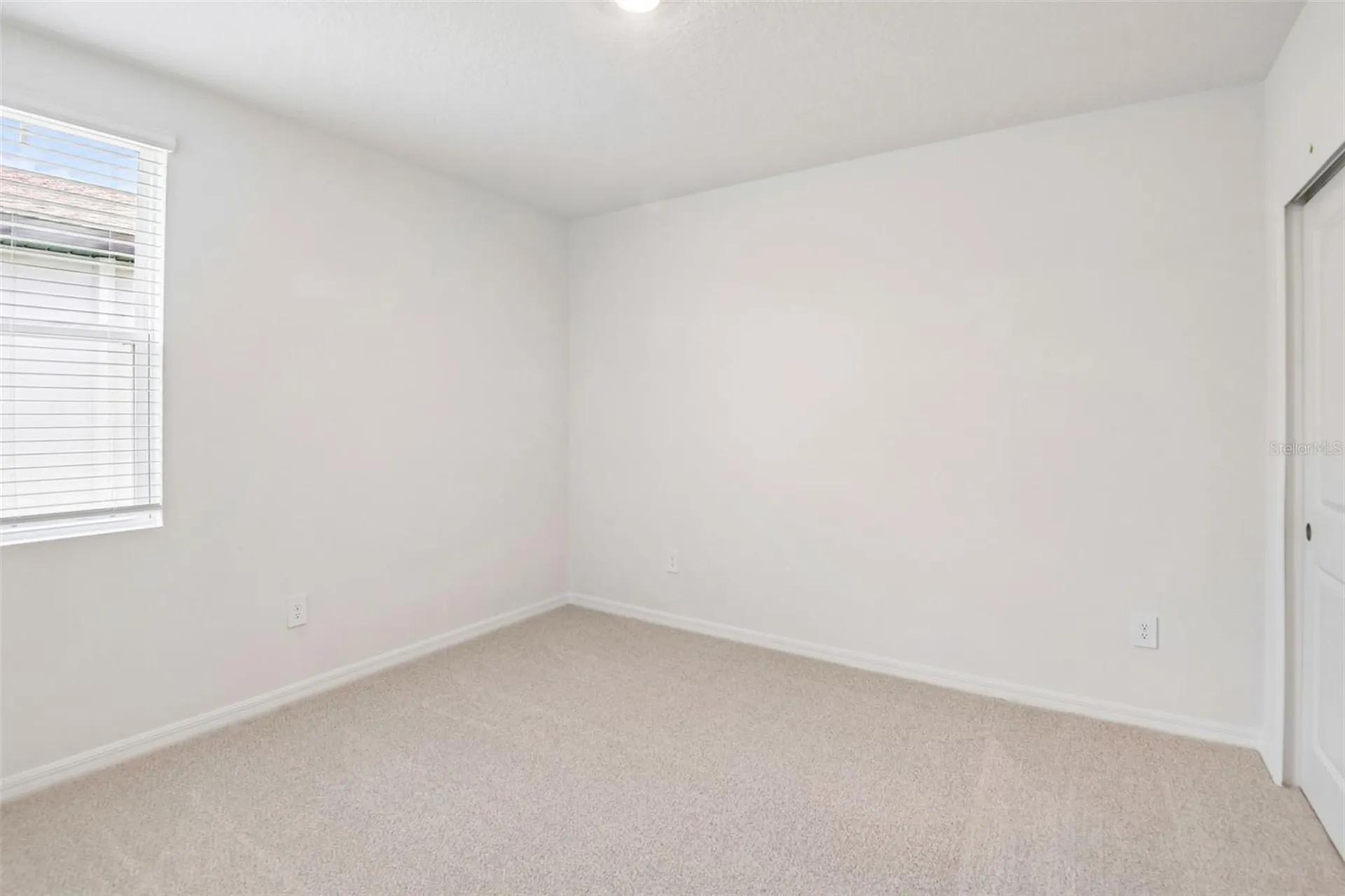 1631 Coolridge Place Zephyrhills FL 33541