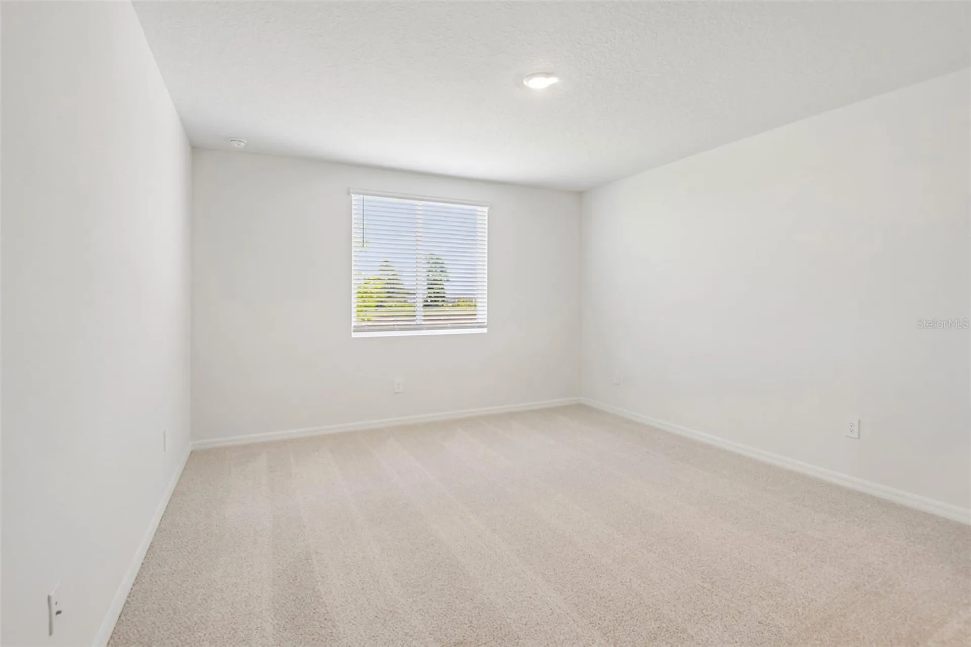 1631 Coolridge Place Zephyrhills FL 33541