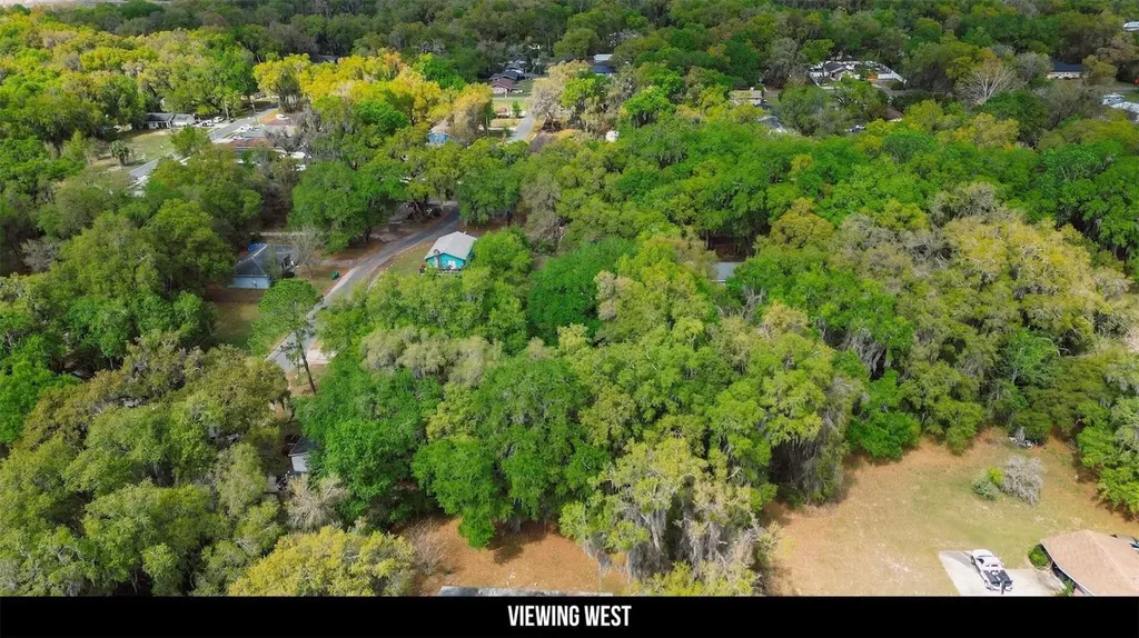 Oak Street Wildwood FL 34785