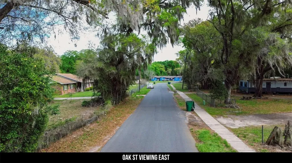 Oak Street Wildwood FL 34785