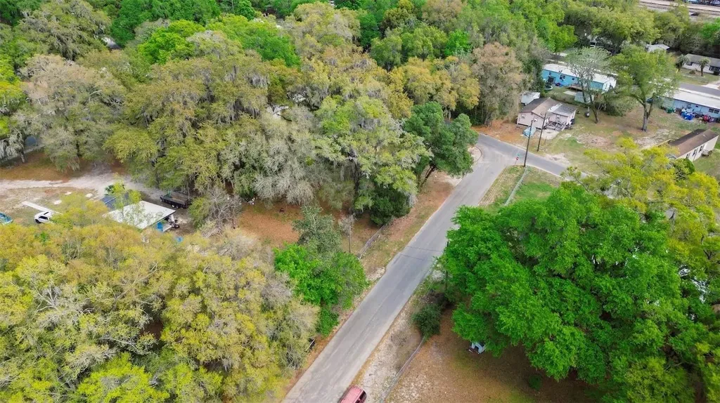 Oak Street Wildwood FL 34785