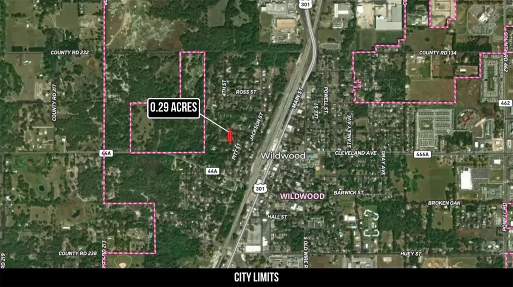 Oak Street Wildwood FL 34785