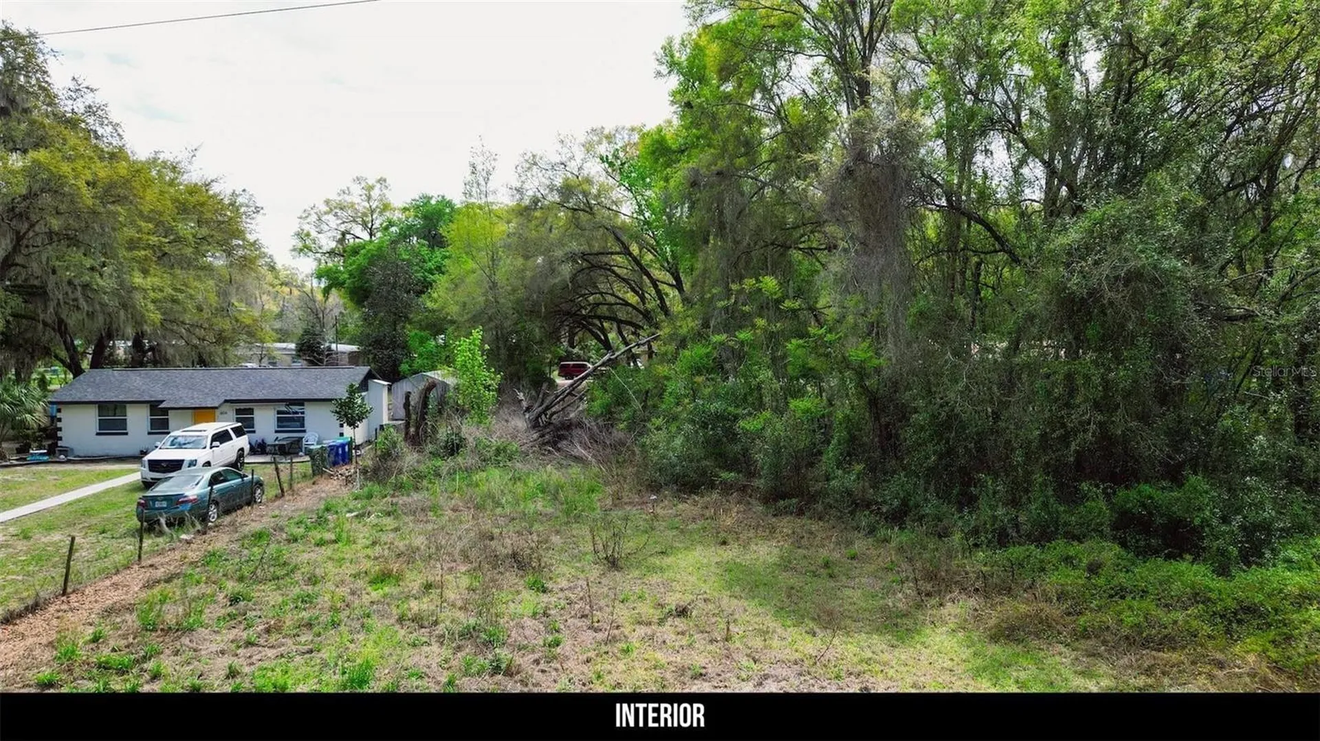 Oak Street Wildwood FL 34785