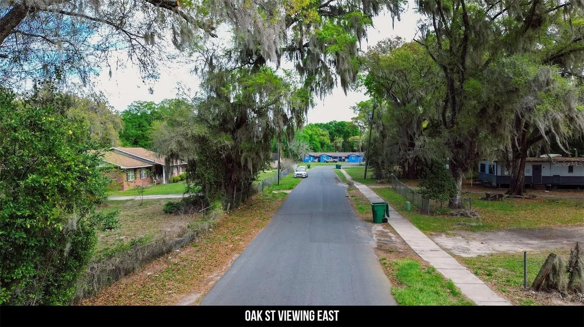 Oak Street Wildwood FL 34785