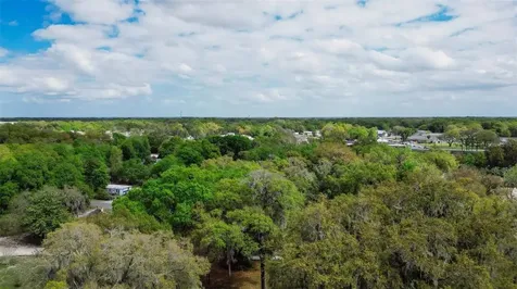 Oak Street Wildwood FL 34785