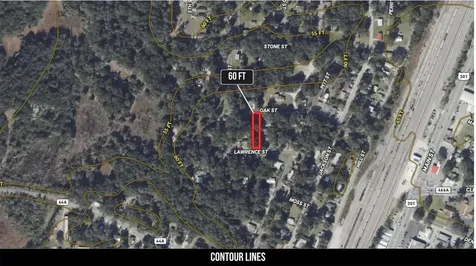 Oak Street Wildwood FL 34785