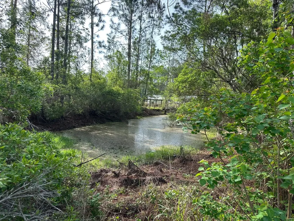 1583 Beech Boulevard Bunnell FL 32110