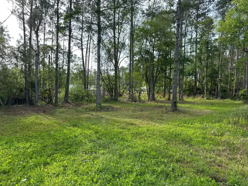 1583 Beech Boulevard Bunnell FL 32110