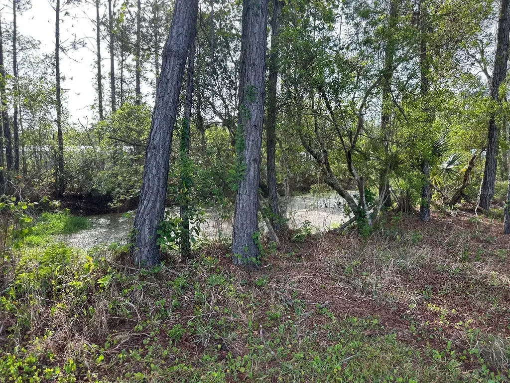 1583 Beech Boulevard Bunnell FL 32110