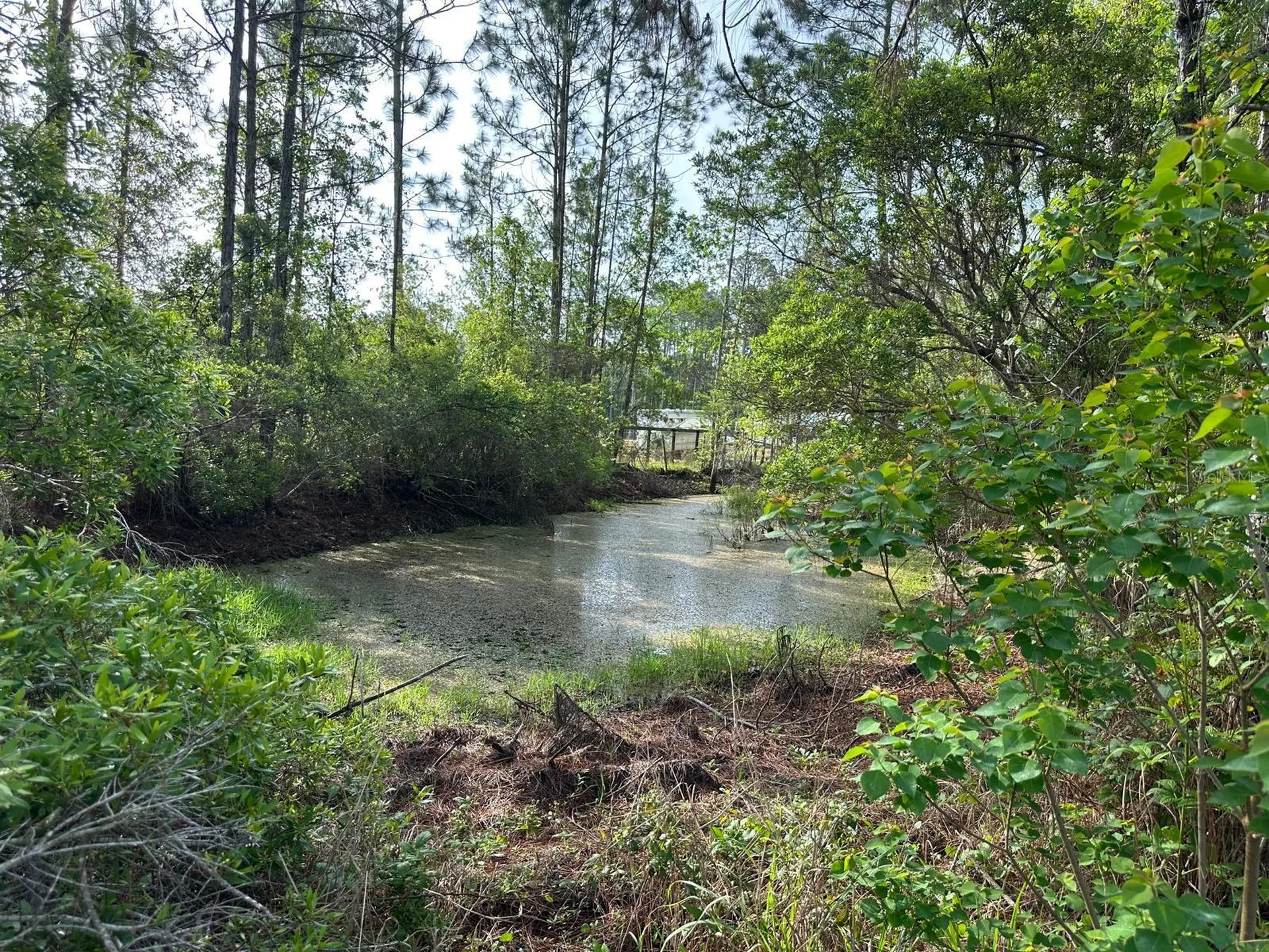 1583 Beech Boulevard Bunnell FL 32110