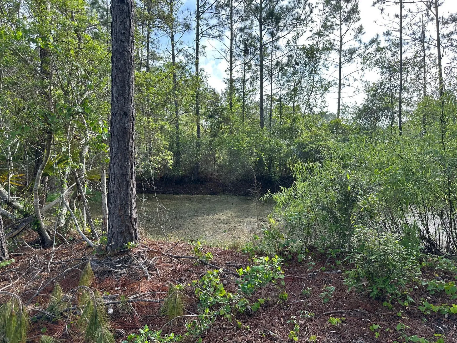 1583 Beech Boulevard Bunnell FL 32110
