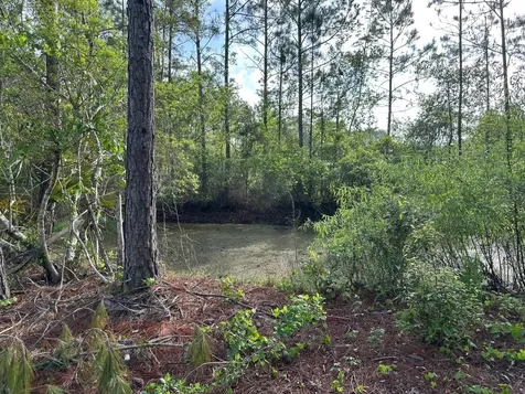 1583 Beech Boulevard Bunnell FL 32110