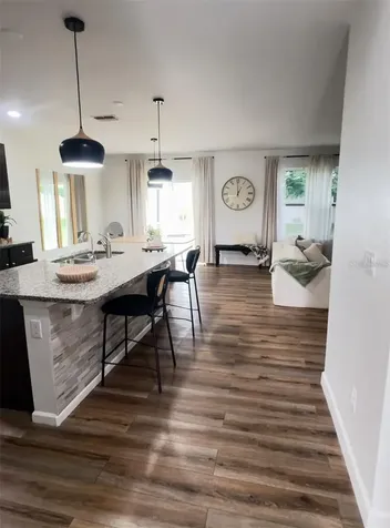 9016 Pyrus Street Kissimmee FL 34747