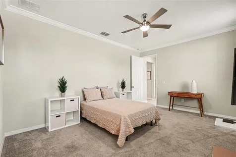 4902 Eagle Rock Drive Wimauma FL 33598