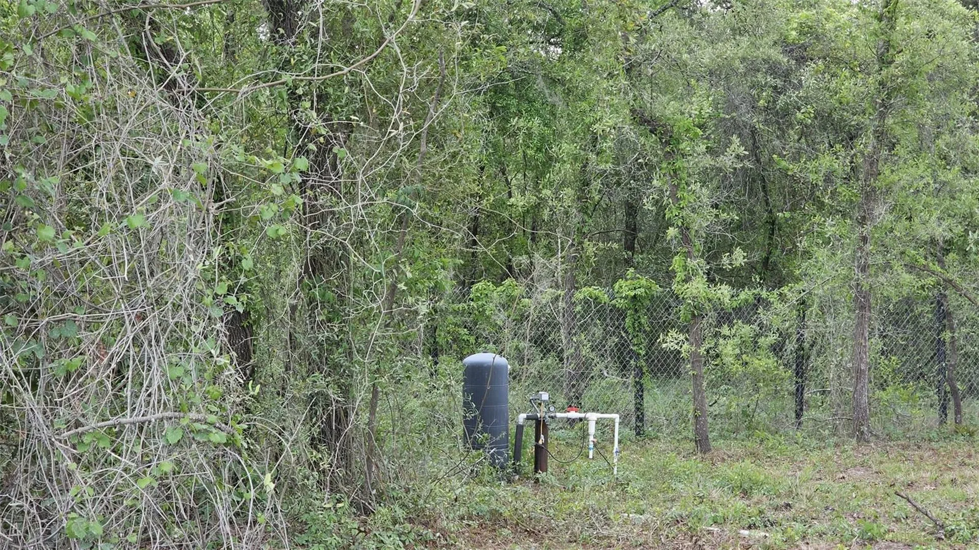 1390 NE 130th Avenue Williston FL 32696