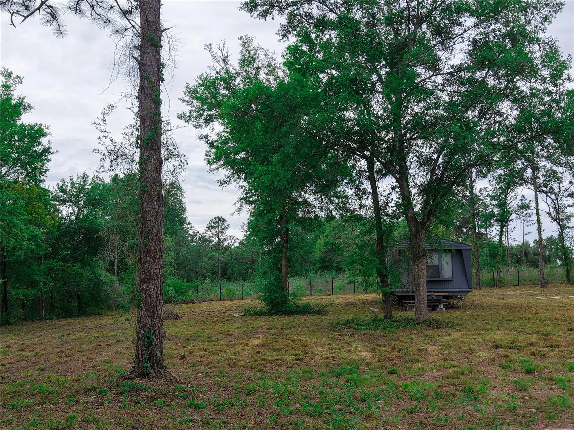 1390 NE 130th Avenue Williston FL 32696