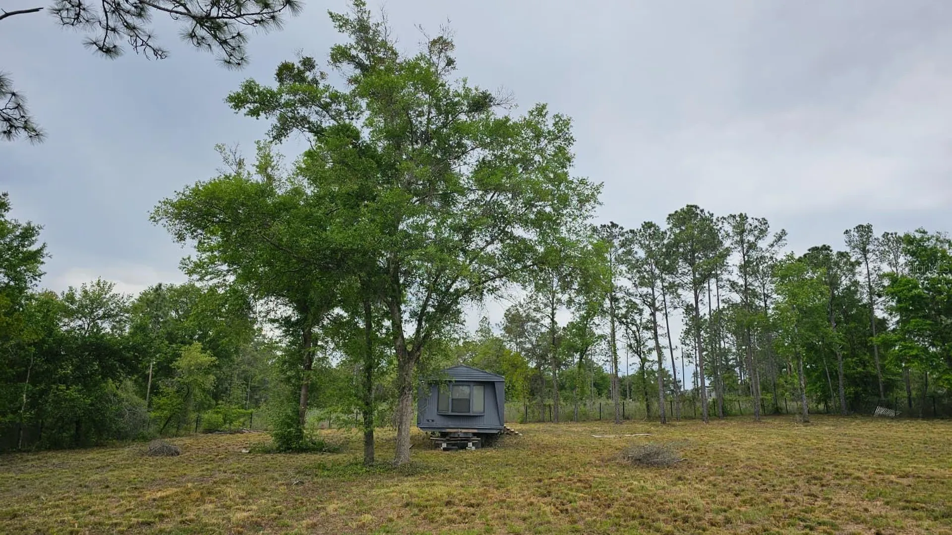 1390 NE 130th Avenue Williston FL 32696