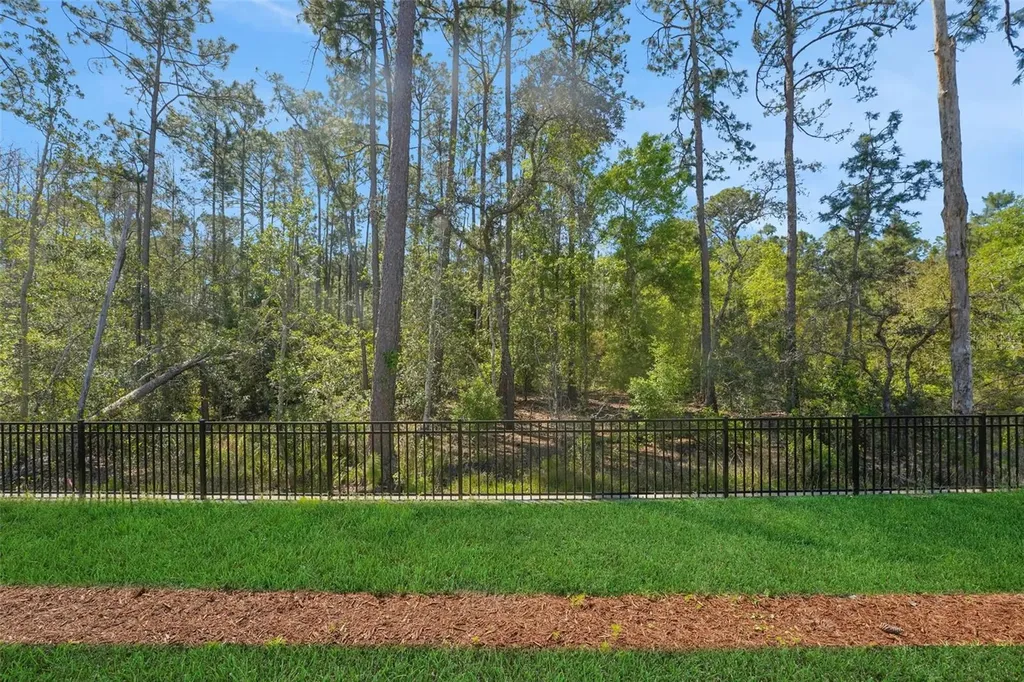 14371 Crest Palm Avenue Windermere FL 34786