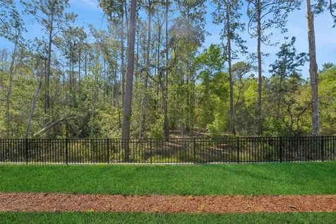 14371 Crest Palm Avenue Windermere FL 34786