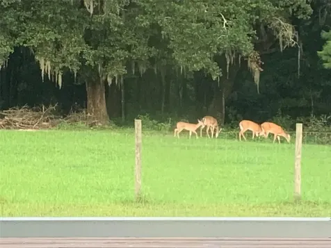 2350 Rose Terrace Path Brooksville FL 34602