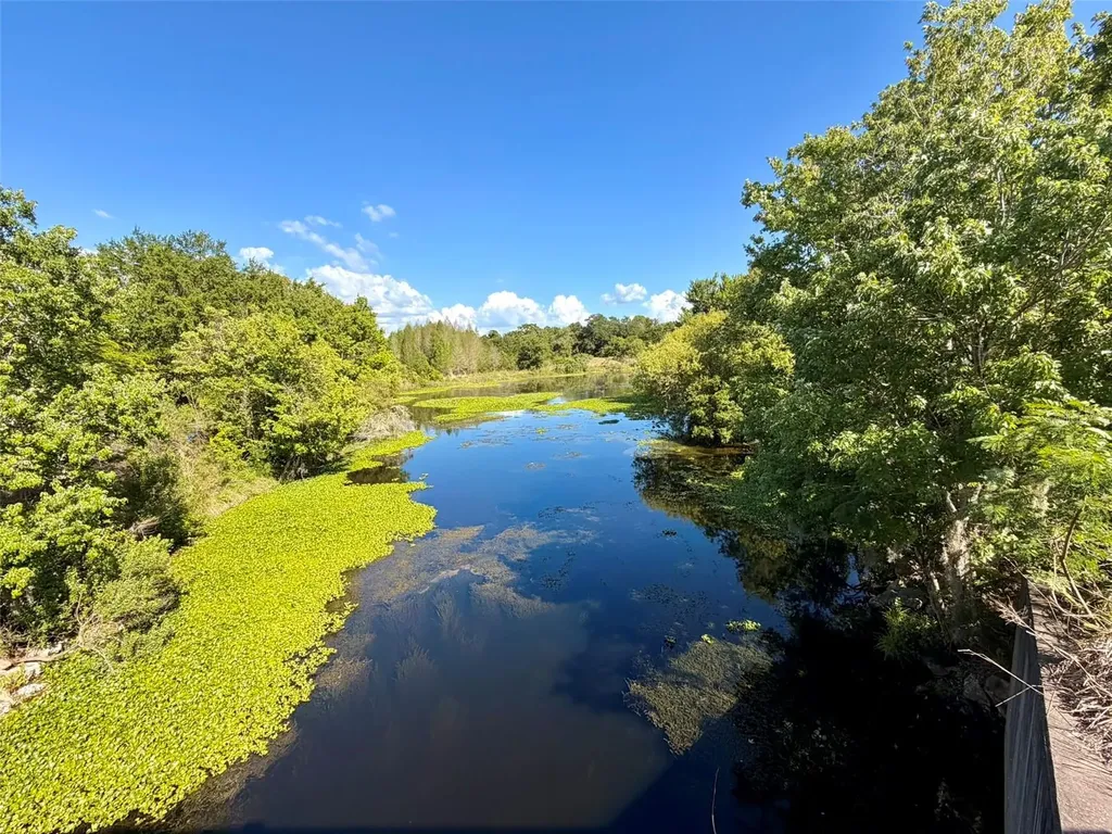 1001 Brigadoon Drive Clearwater FL 33759