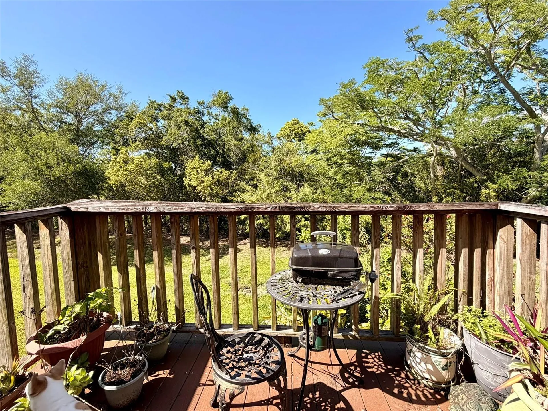 1001 Brigadoon Drive Clearwater FL 33759