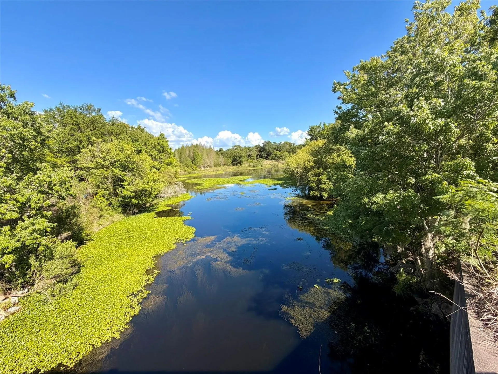 1001 Brigadoon Drive Clearwater FL 33759