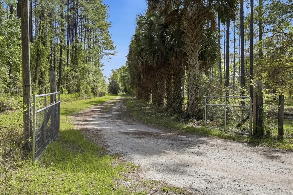 4215 SW 253rd Terrace Newberry FL 32669