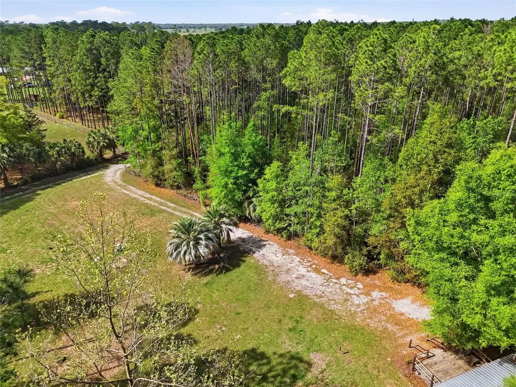 4215 SW 253rd Terrace Newberry FL 32669