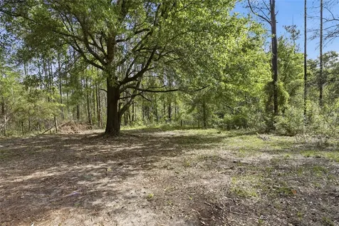 4215 SW 253rd Terrace Newberry FL 32669