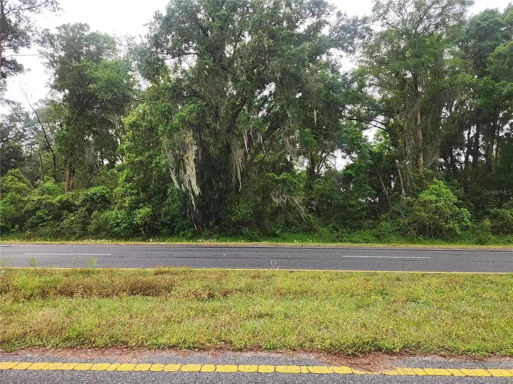 SE Highway 484 Summerfield FL 34491