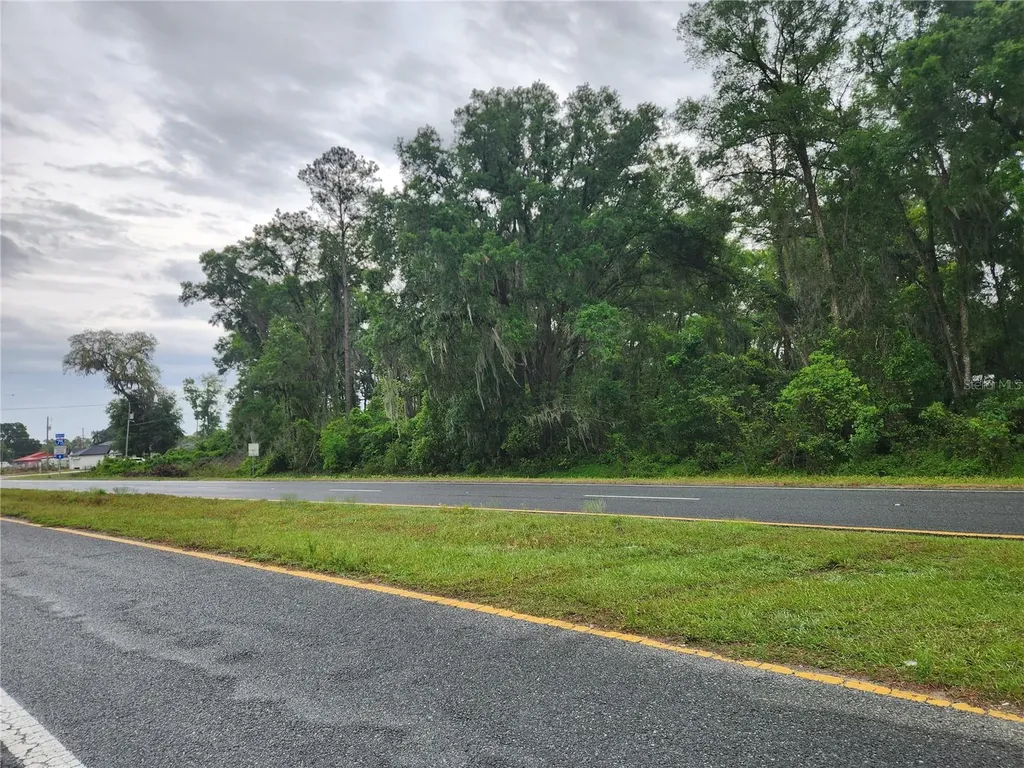 SE Highway 484 Summerfield FL 34491
