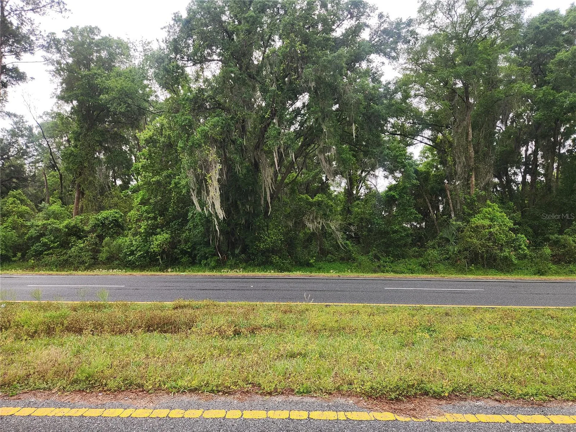 SE Highway 484 Summerfield FL 34491
