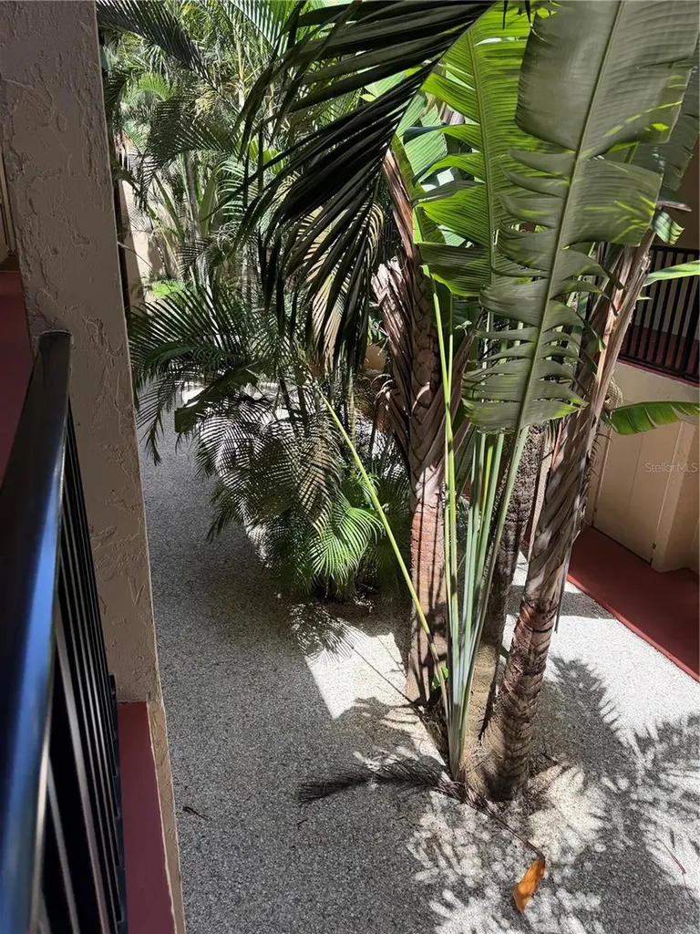 3700 S Osprey Avenue Sarasota FL 34239