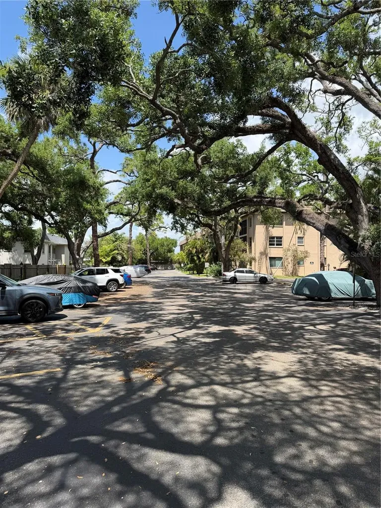 3700 S Osprey Avenue Sarasota FL 34239