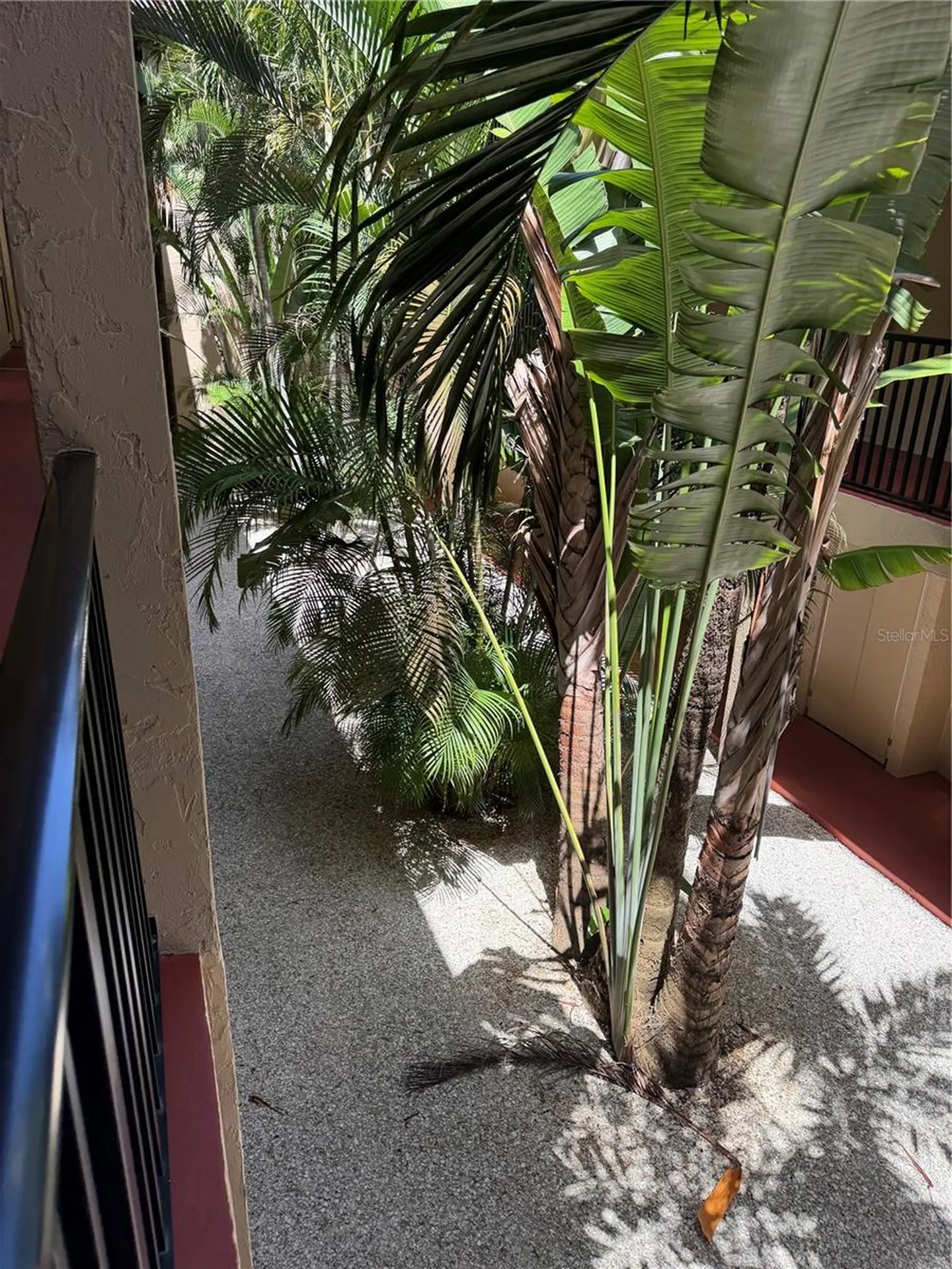 3700 S Osprey Avenue Sarasota FL 34239
