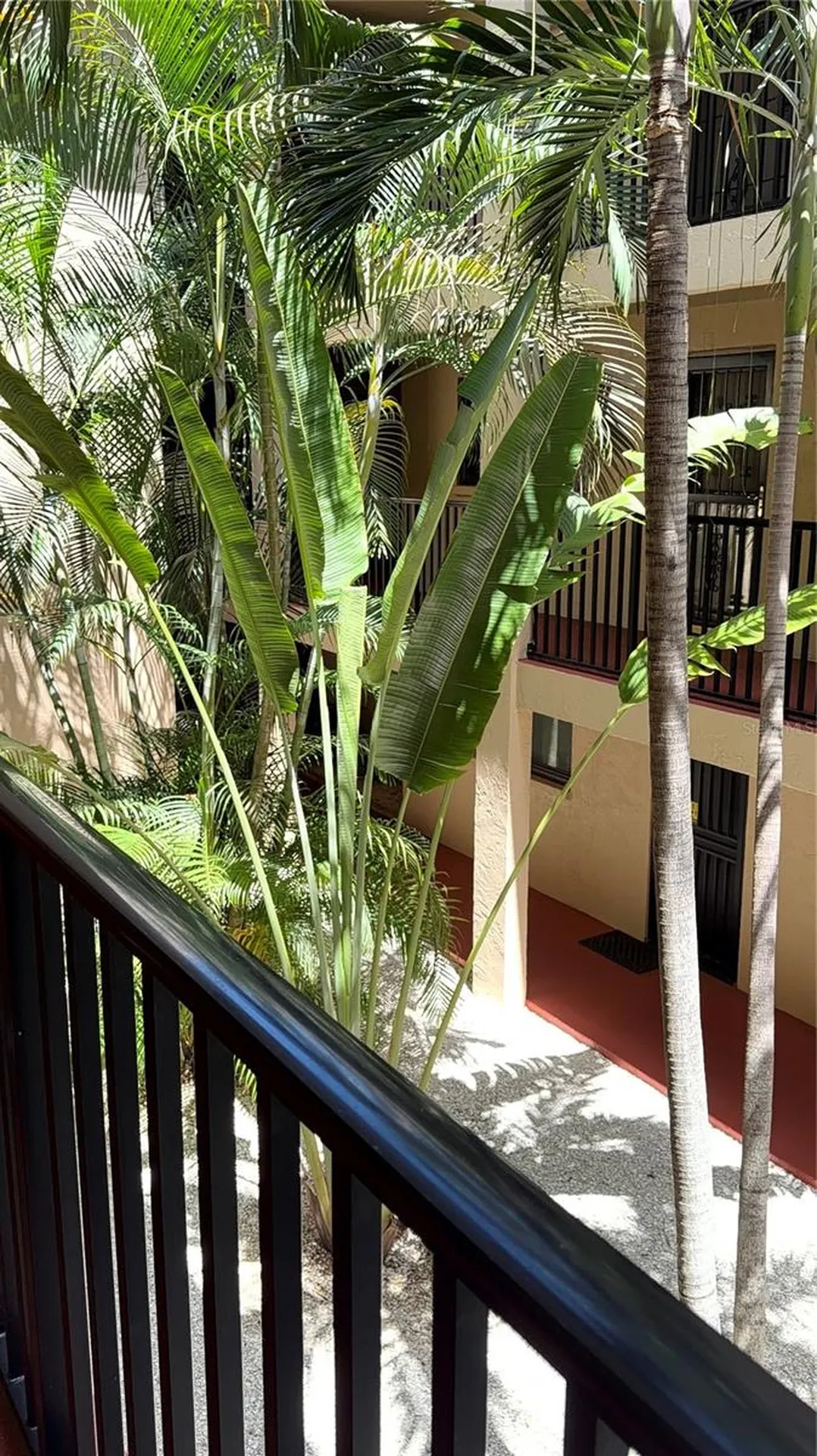 3700 S Osprey Avenue Sarasota FL 34239