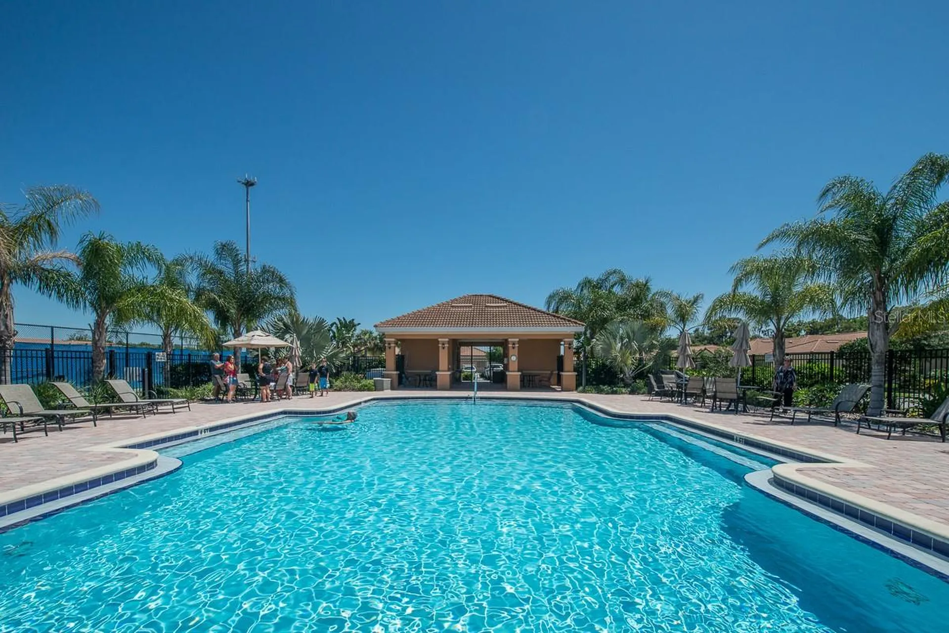 352 Laurel Falls Drive Apollo Beach FL 33572