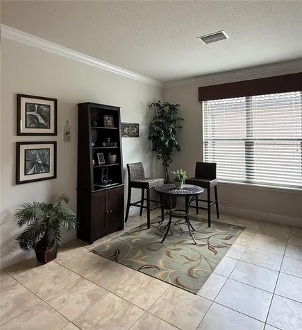 352 Laurel Falls Drive Apollo Beach FL 33572