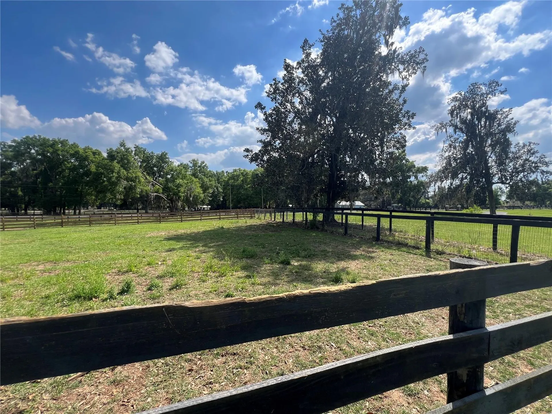 1575 NE 100th Street Anthony FL 32617