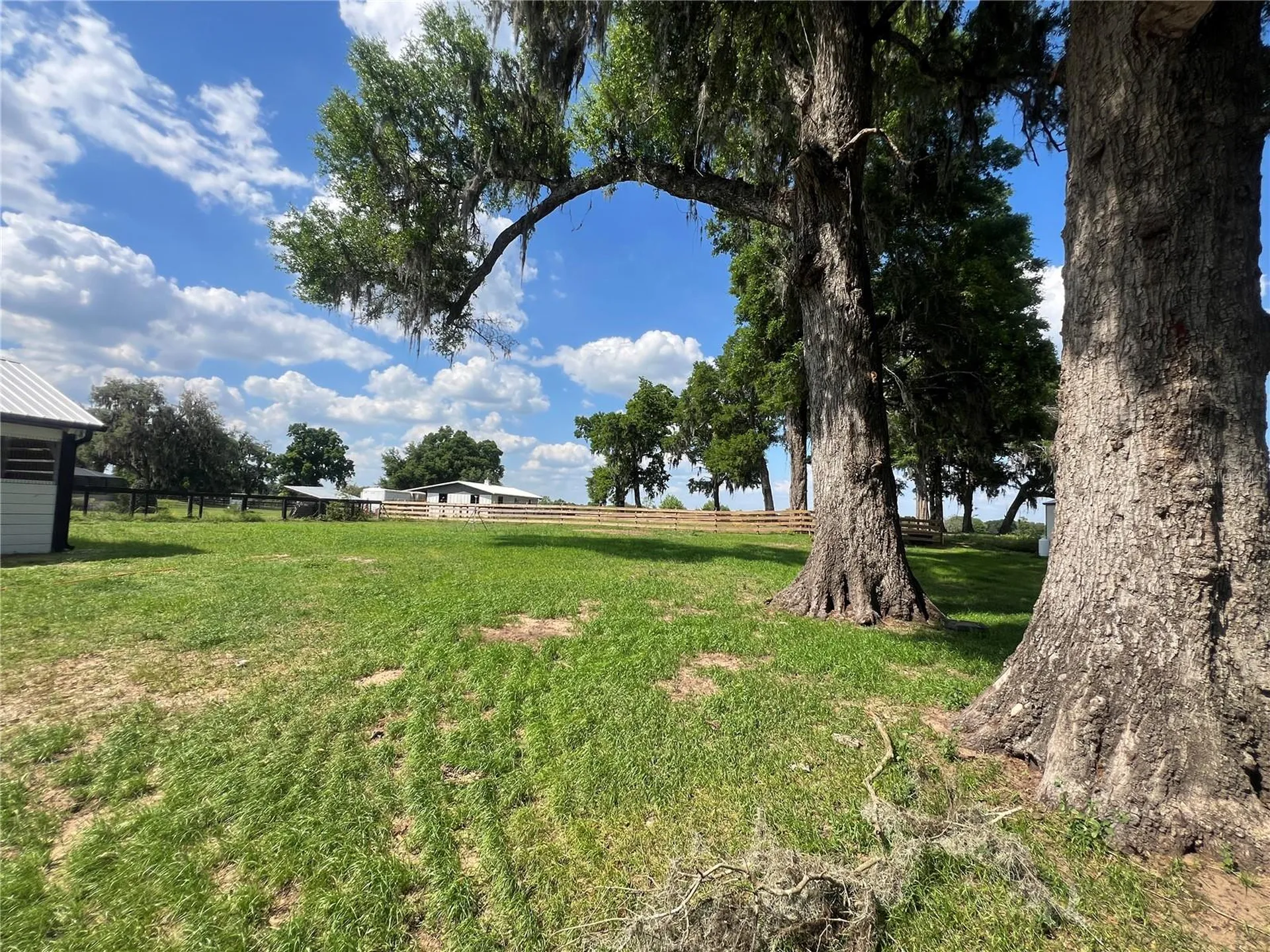 1575 NE 100th Street Anthony FL 32617