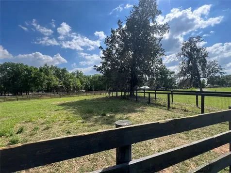 1575 NE 100th Street Anthony FL 32617