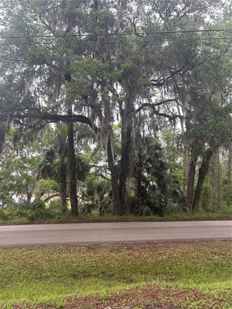 1425 E Graves Avenue Orange City FL 32763